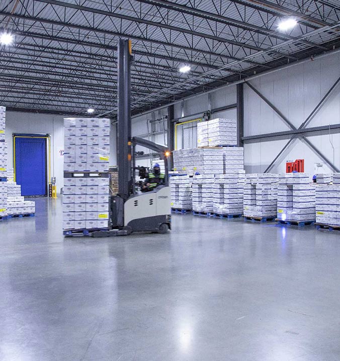 Cold Storage Lighting