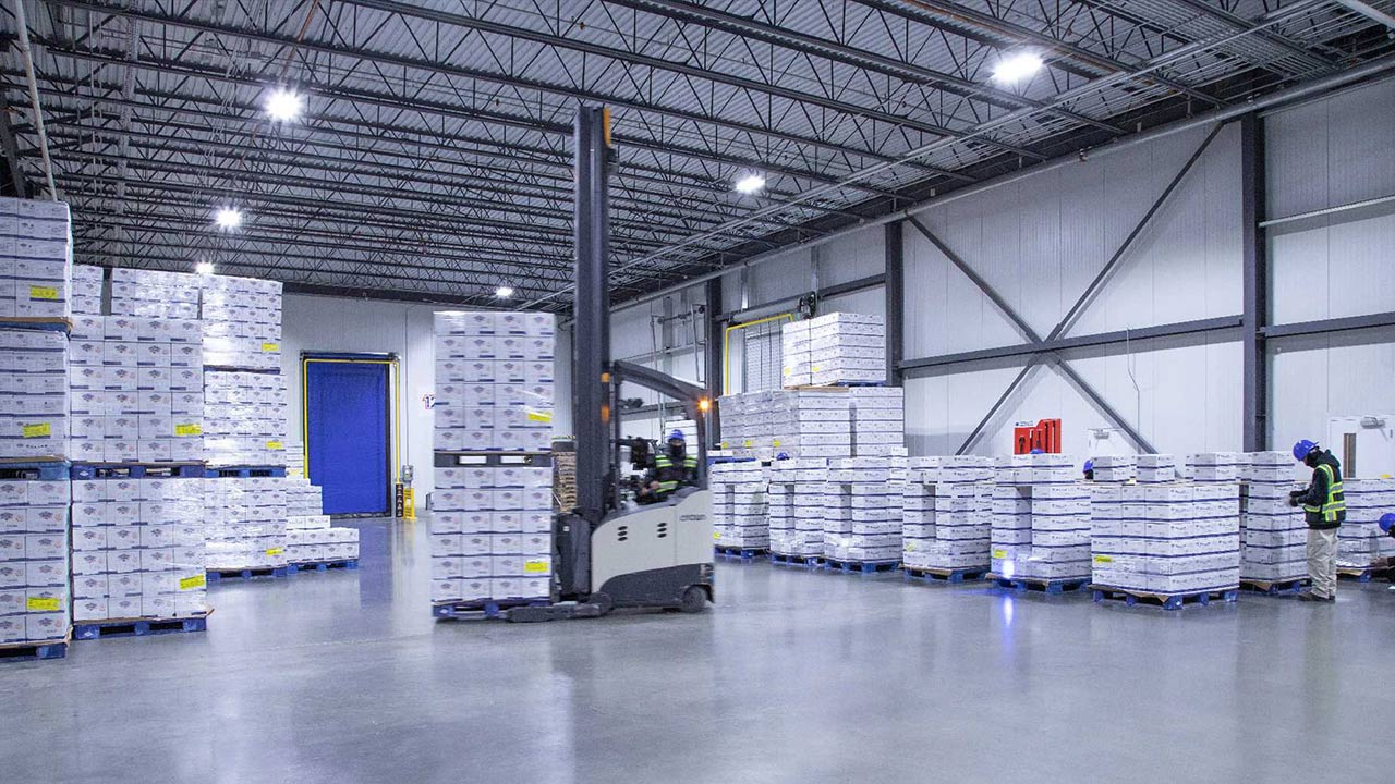 Cold Storage Lighting