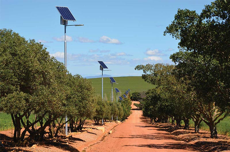 led solar street light