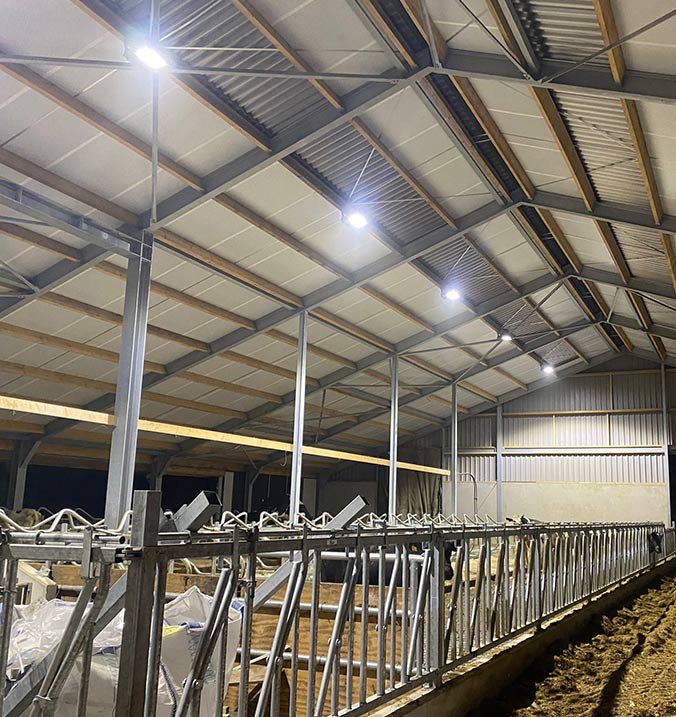 dairy farm lighting