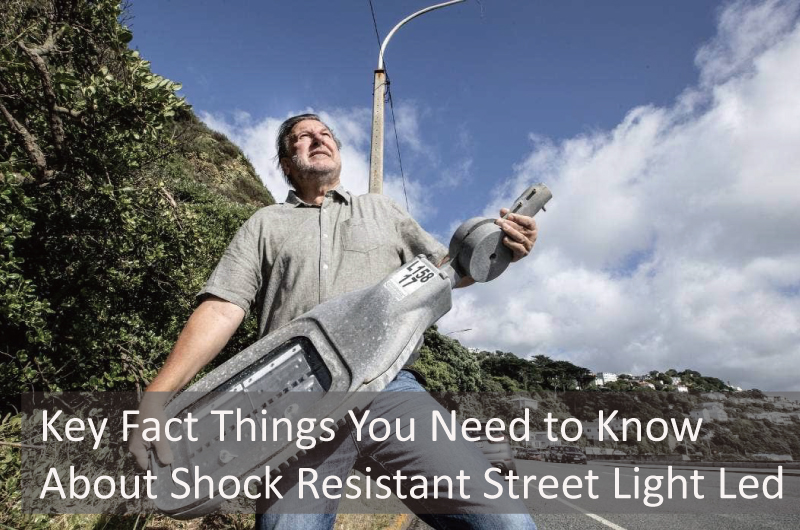 Key Fact Things You Need to Know About Shock Resistant Street Light Led